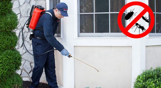 Oğuzlar Karınca İlaçlama böcek ilaçlama ve haşere kontrolü — ilaclama-tr.com